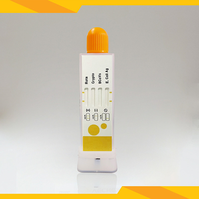 الاختبار السريع المشترك للفيروس الروتافيروس + كريبتوسبوريديا + فيروس كورونا + E. Coli Antigen