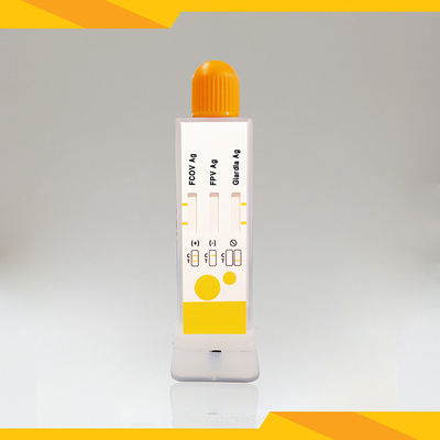 مجموعة اختبار المضادات الحيوية في براز القطط لـ FCoV+FPV+Giardia Lamblia نظيفة وخالية من التلوث