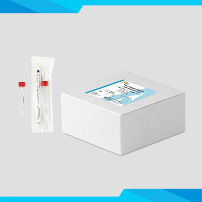 مجموعة النقل المتوسطة الفيروسية المعطلة لـ RT-PCR
