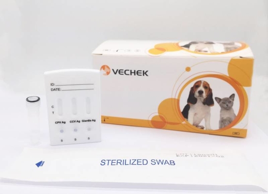 أطقم اختبار الكلب OEM CPV CCV Giardia Lamblia Antigen التشخيص السريع
